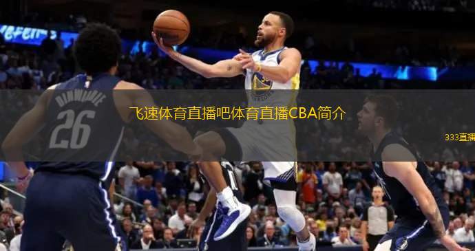 他的比赛经