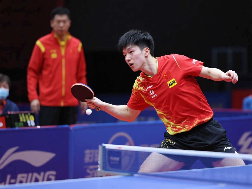 提供了更多 提供了更多